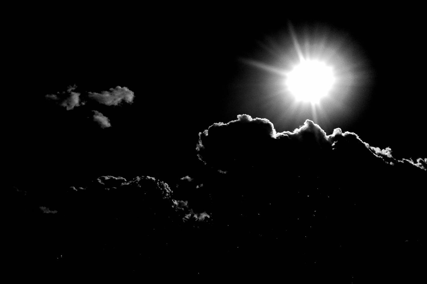 Frame 042