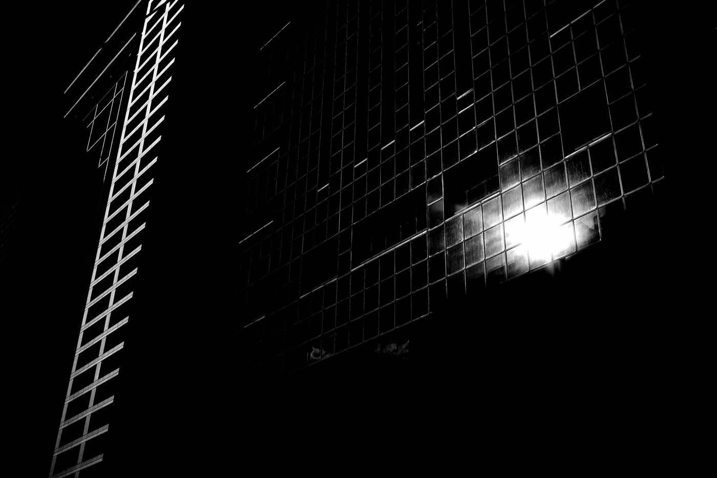 Frame 001