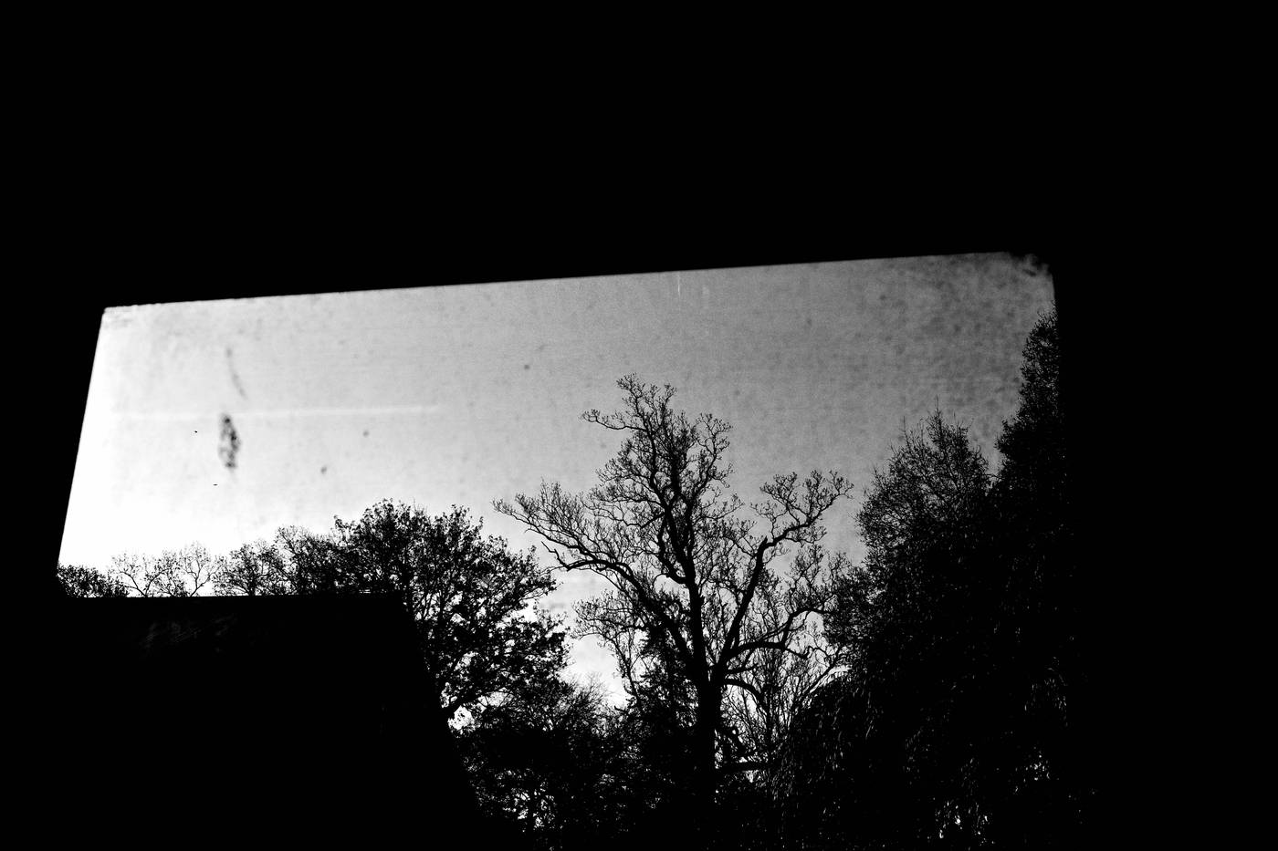 Frame 016