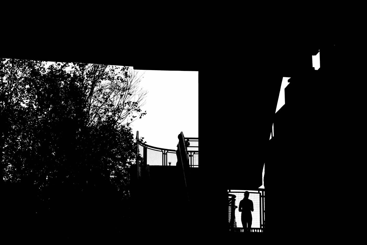 Frame 026