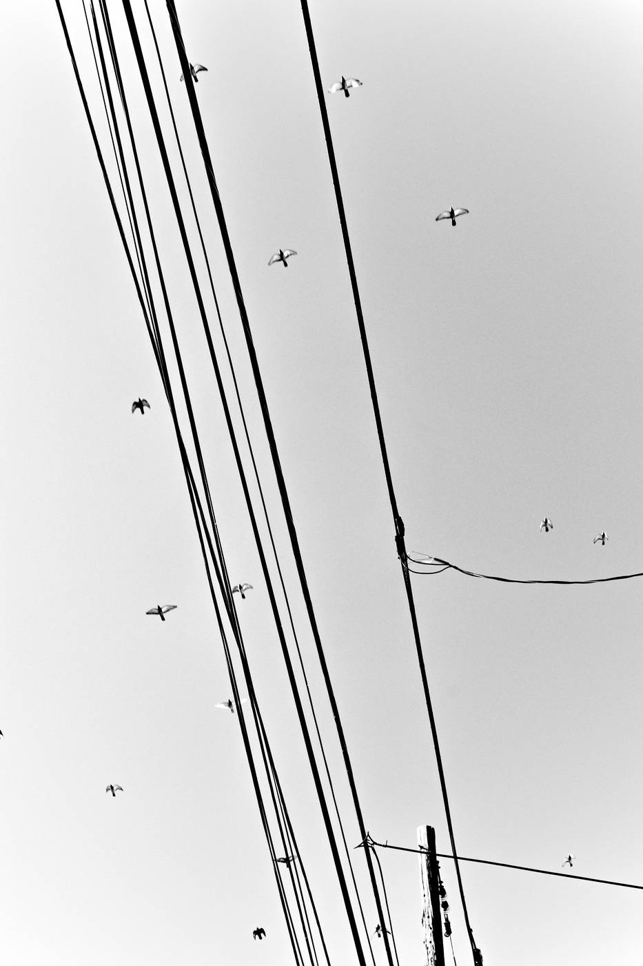 Frame 040