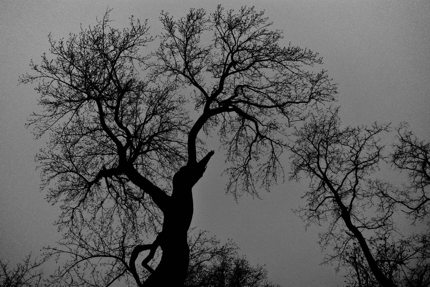 Frame 050
