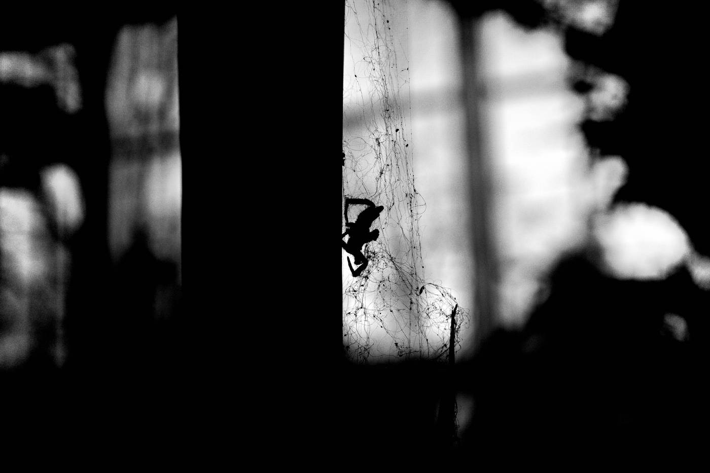 Frame 037