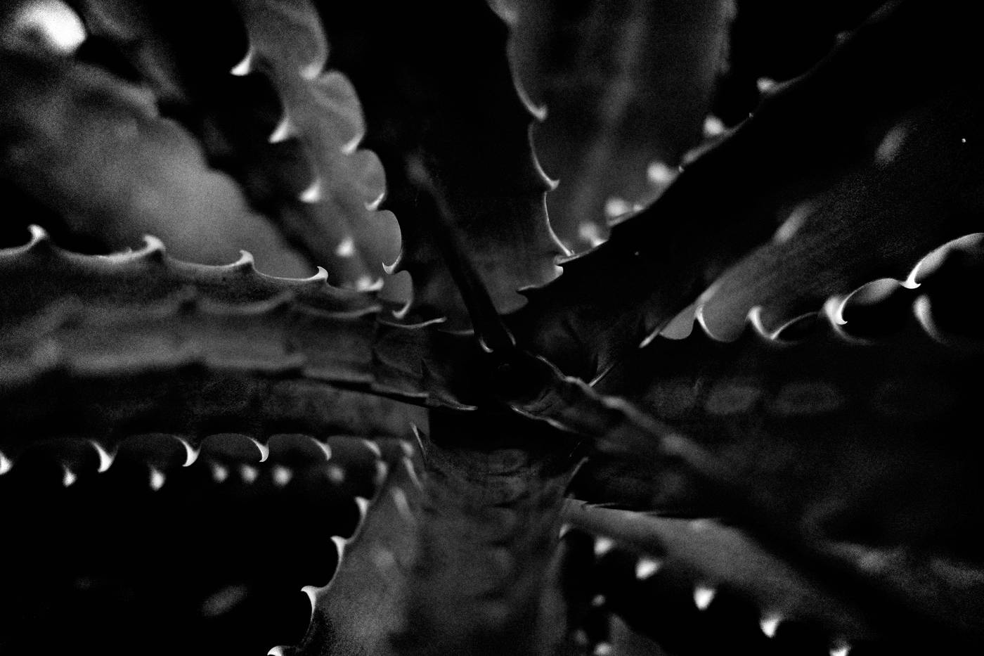 Frame 044