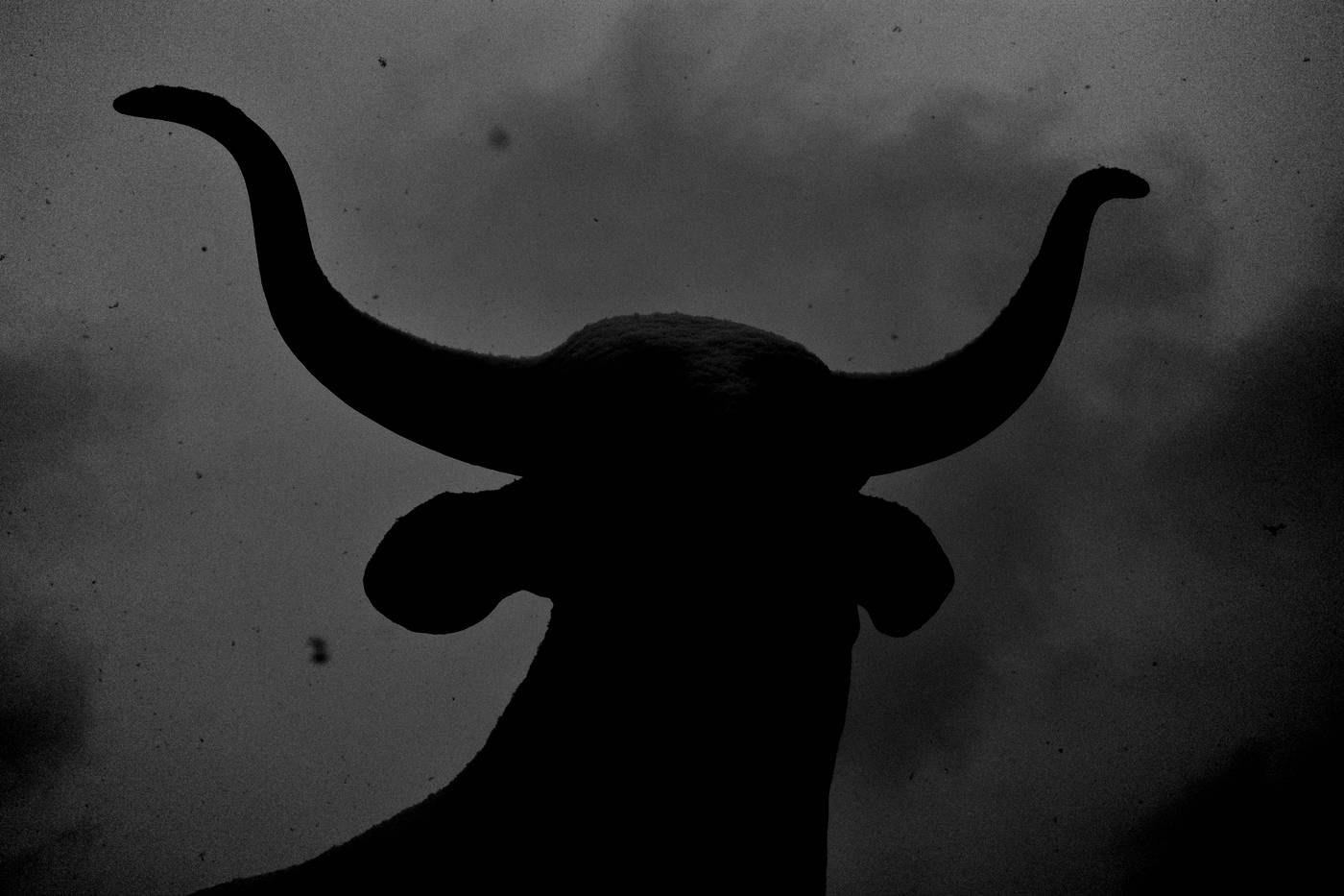 Frame 004