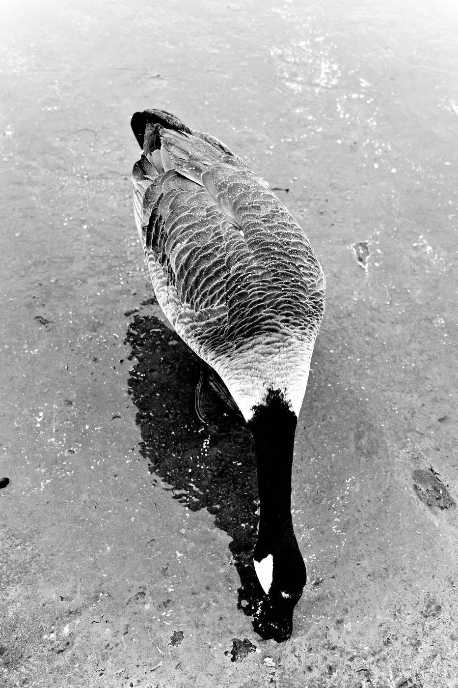 Frame 041