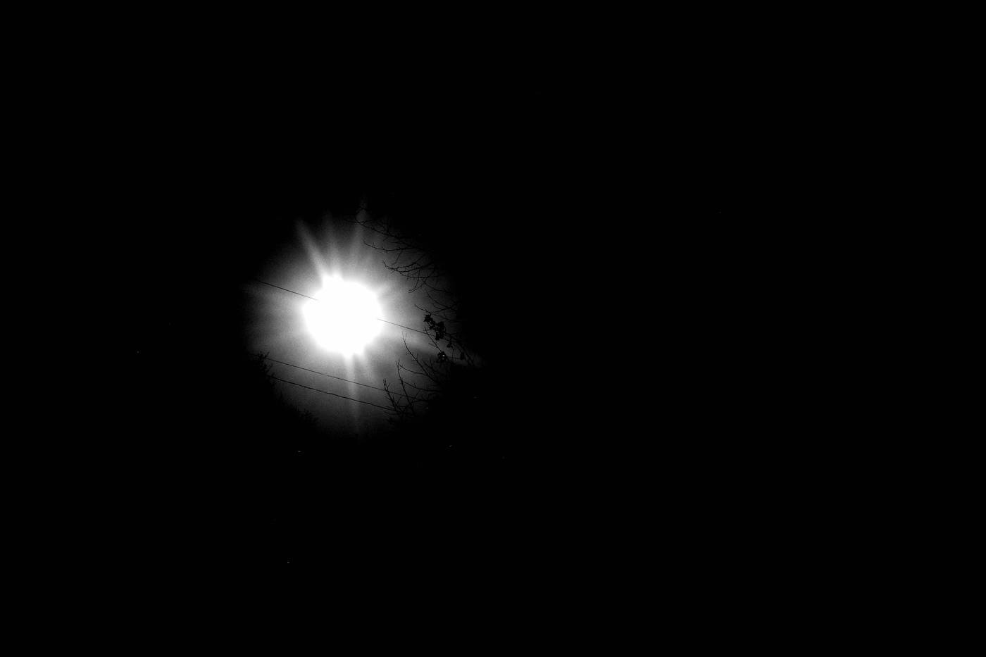 Frame 015