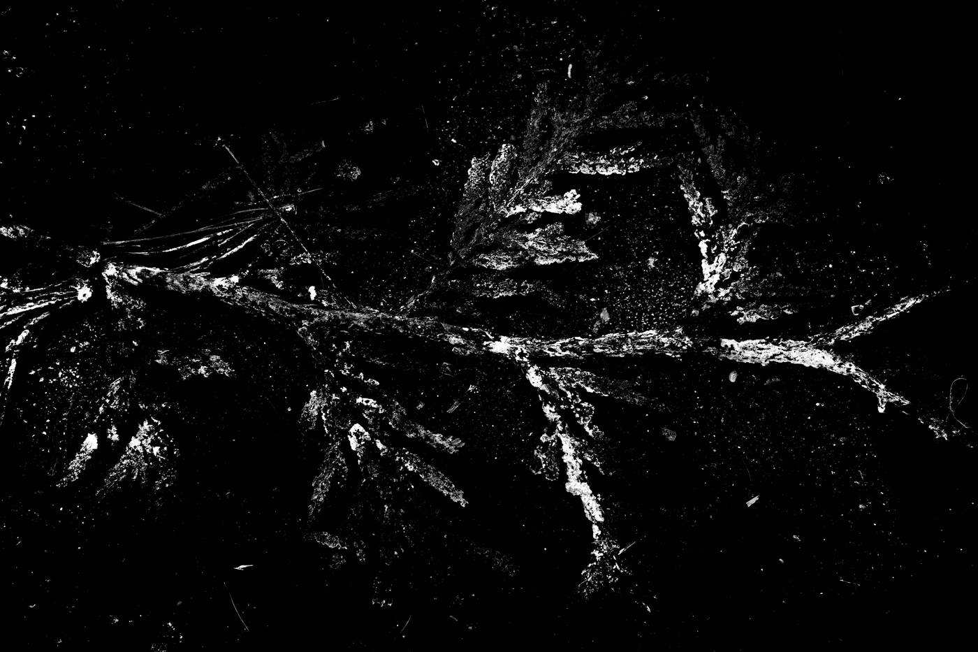 Frame 007