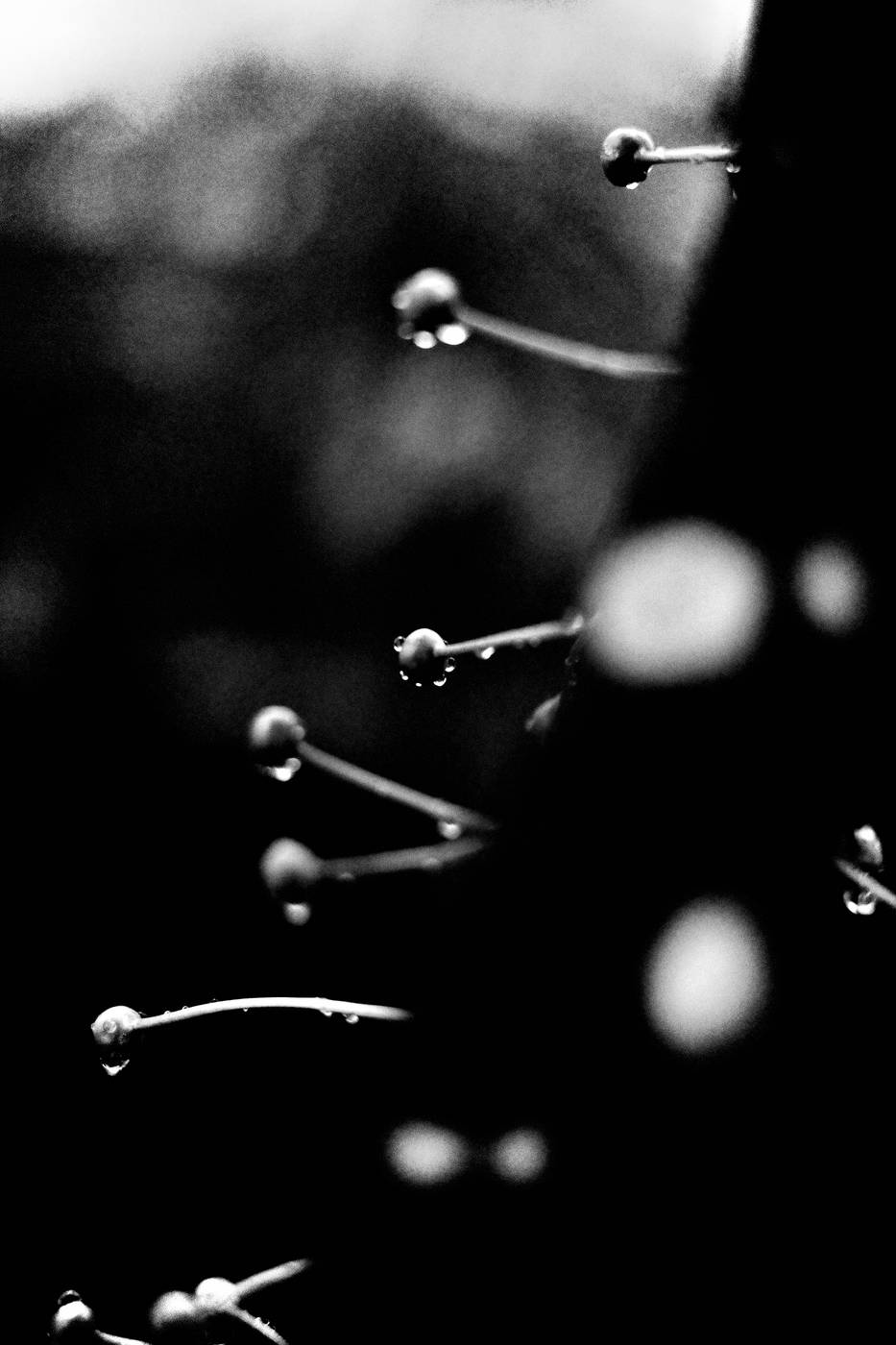 Frame 034