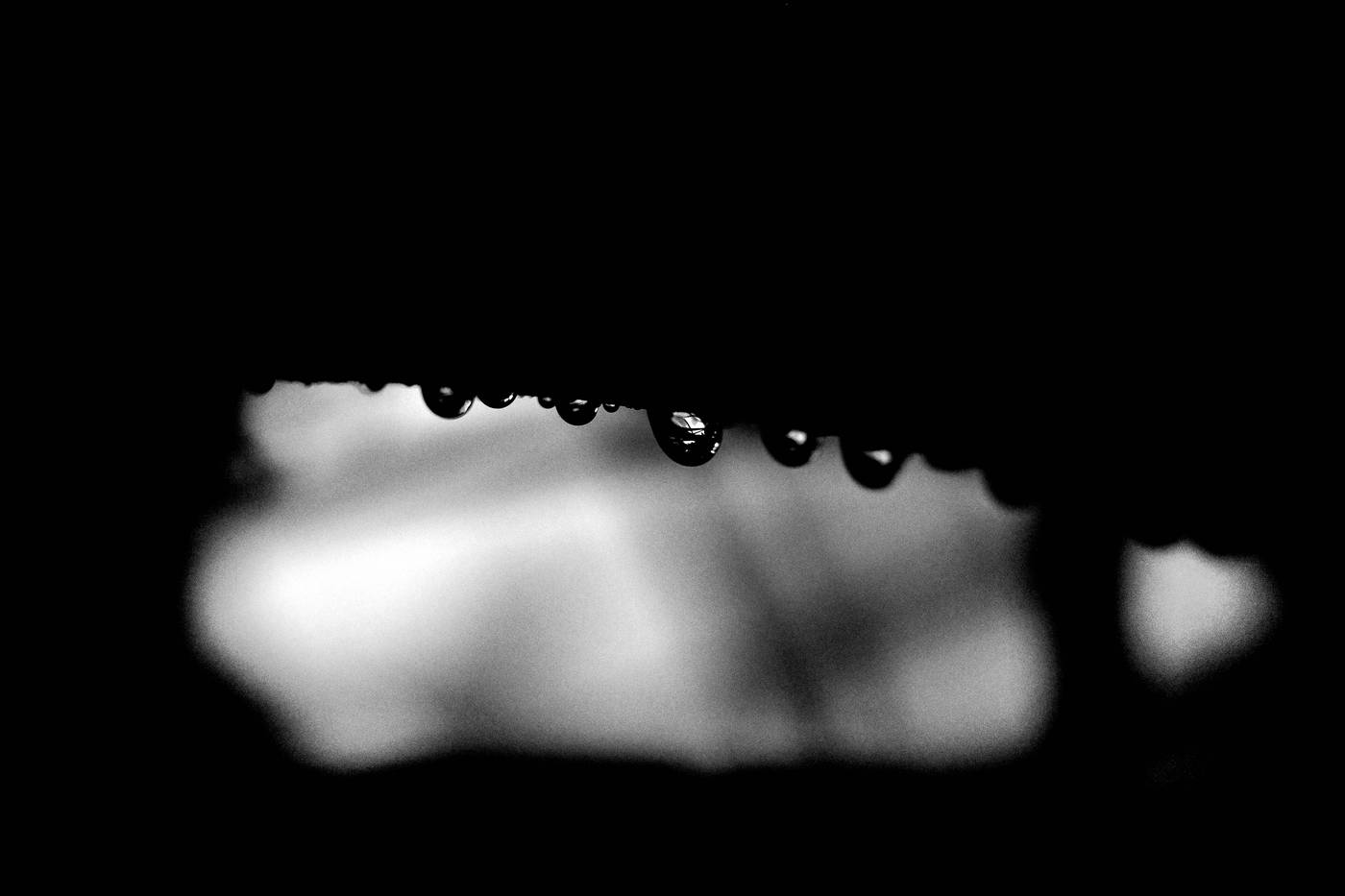 Frame 035