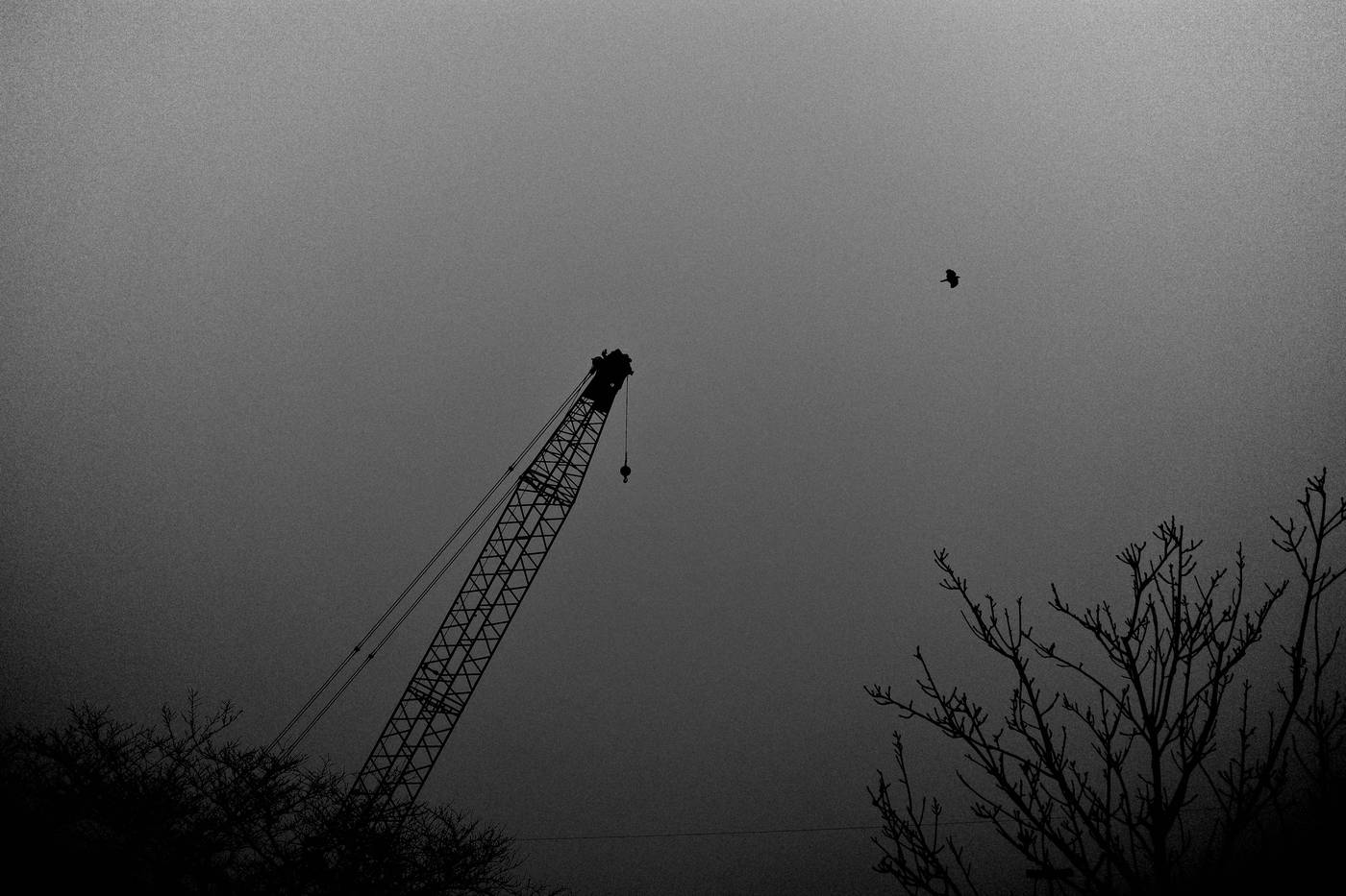 Frame 033