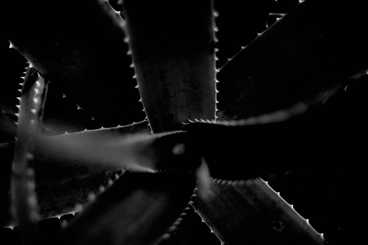 Frame 020