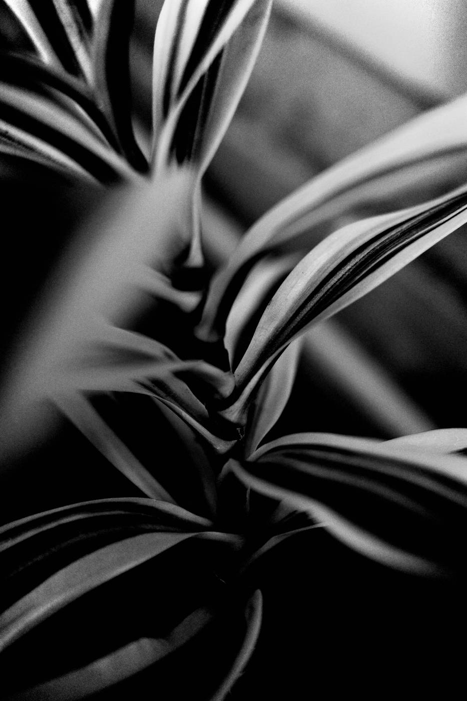 Frame 021