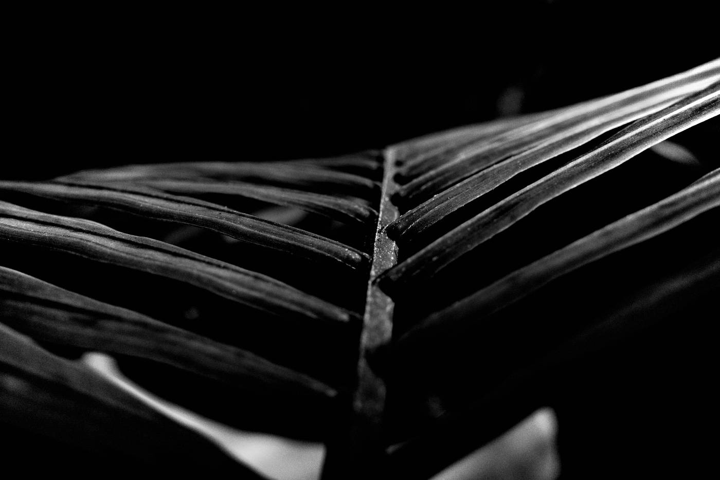 Frame 012