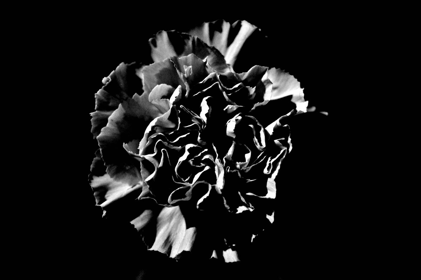 Frame 003