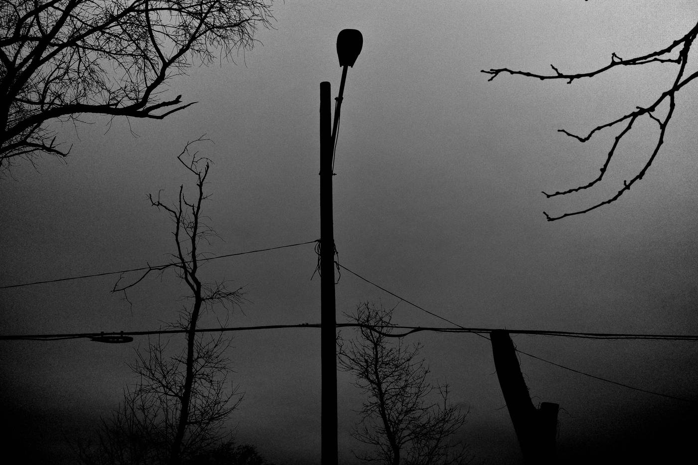 Frame 018