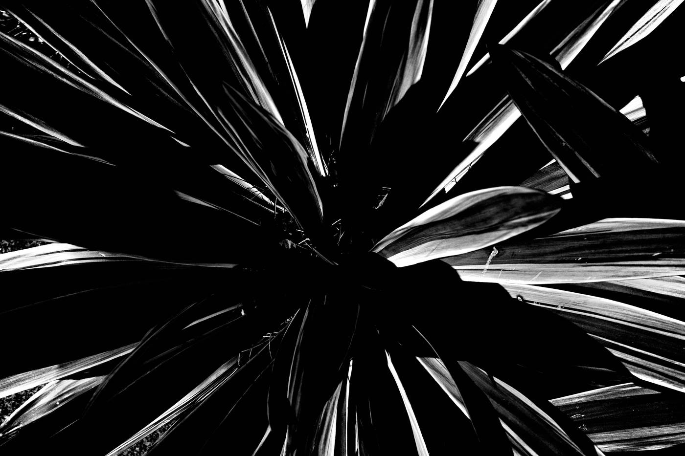 Frame 026