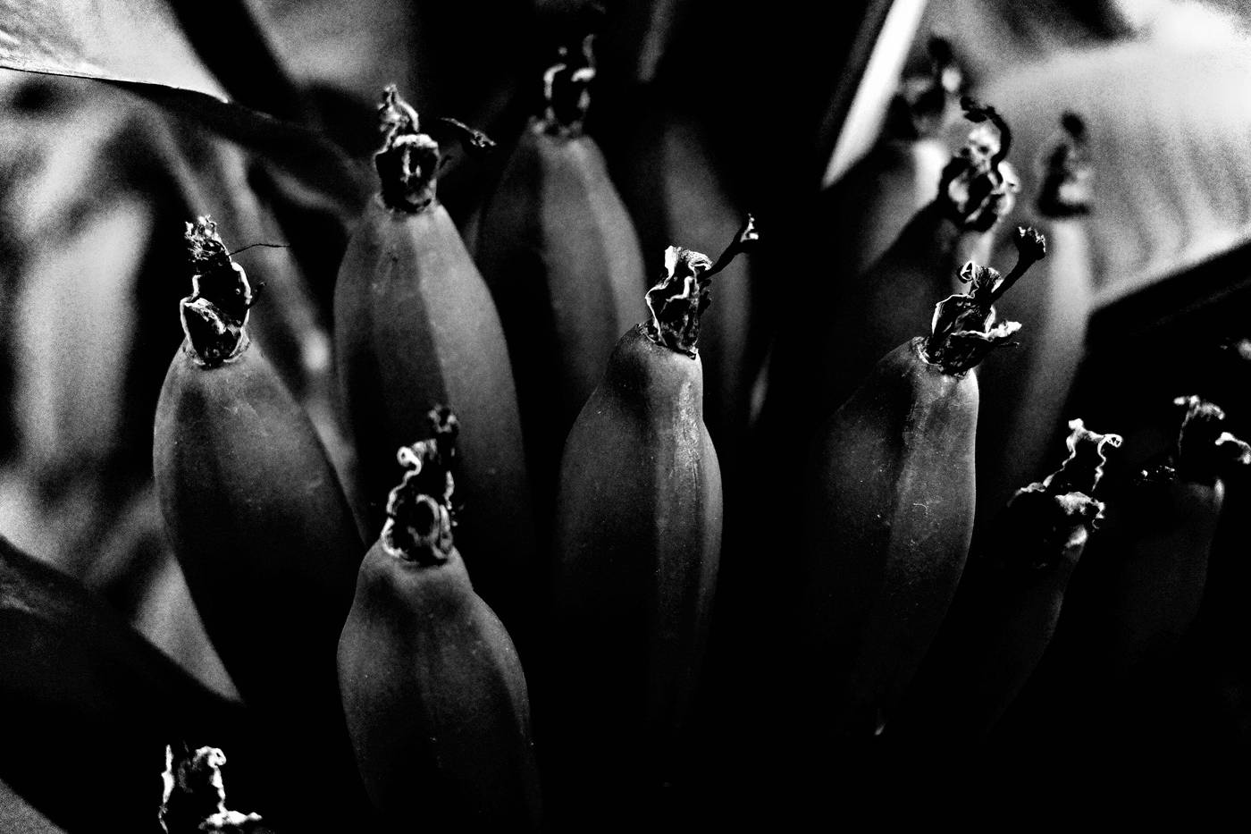 Frame 003
