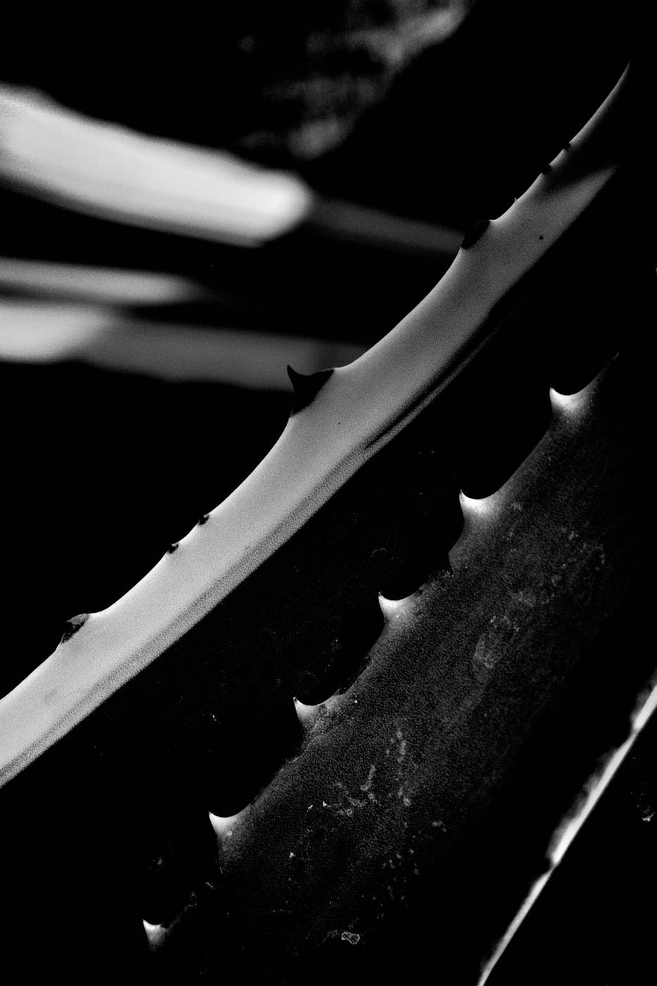 Frame 005