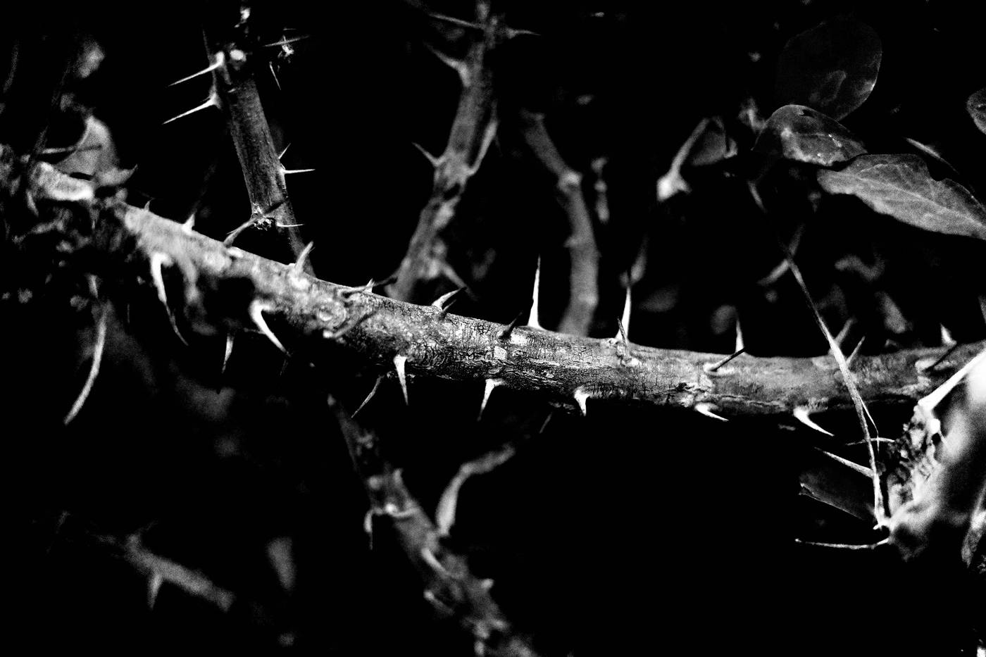 Frame 022