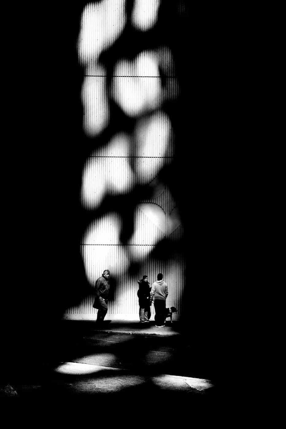 Frame 015