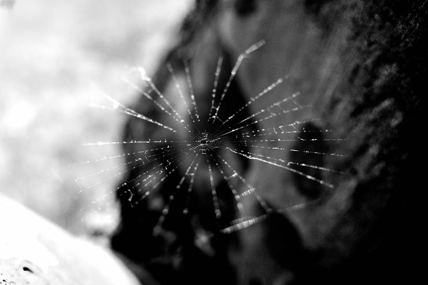 Frame 042