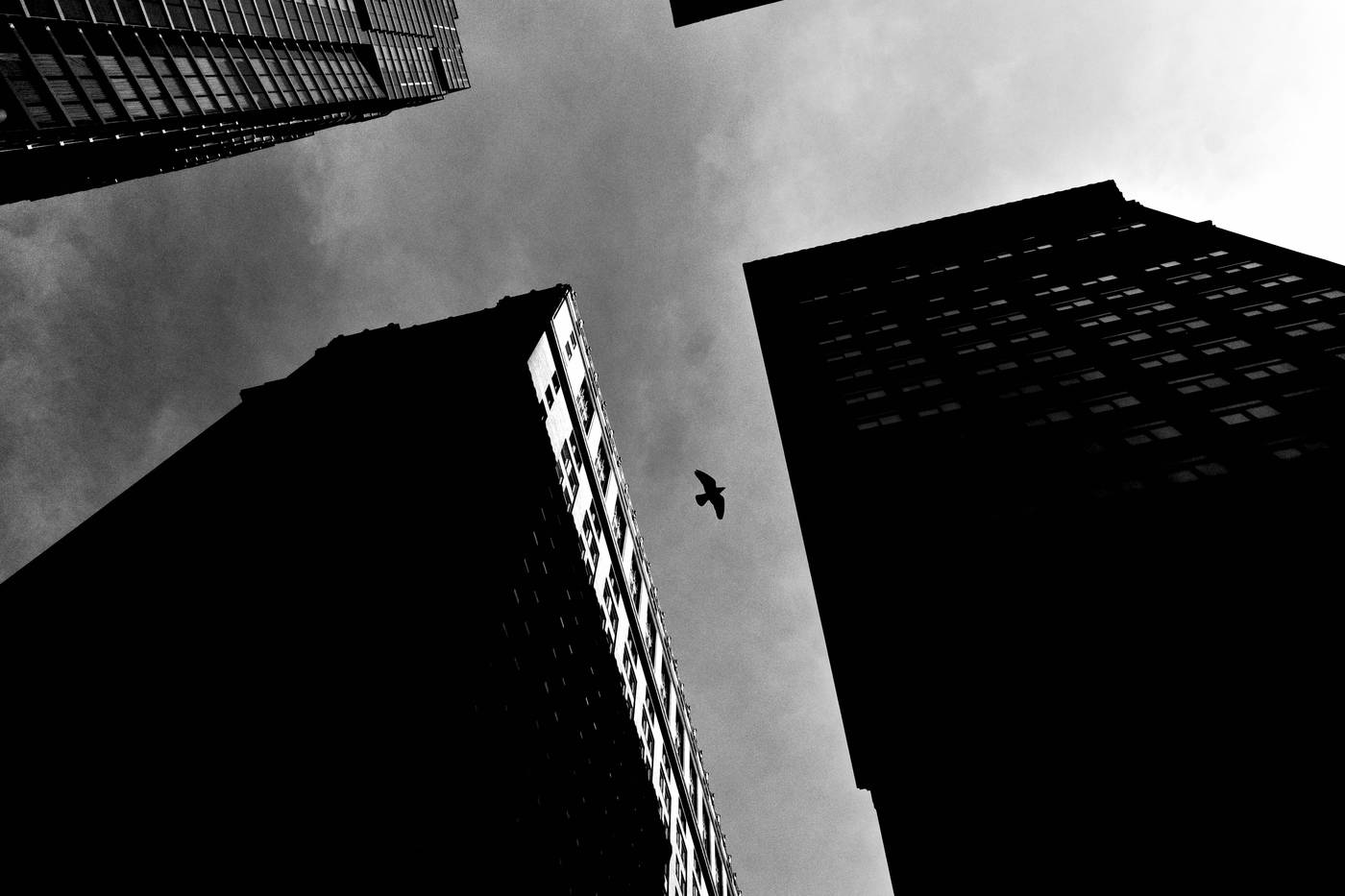 Frame 007