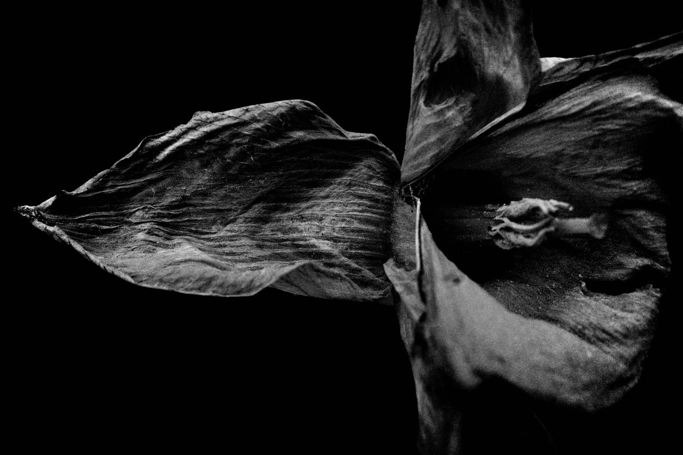 Frame 018