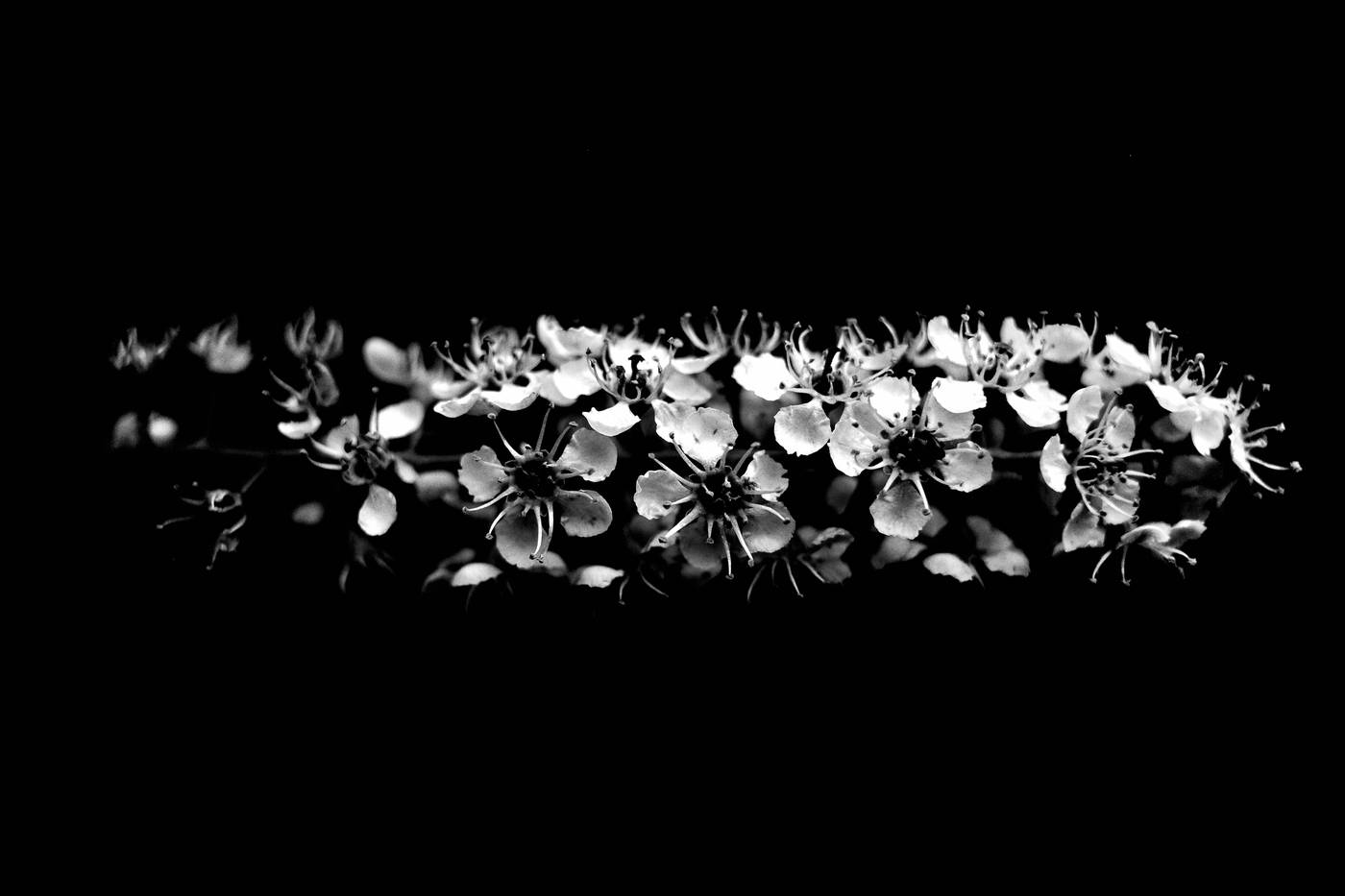 Frame 011