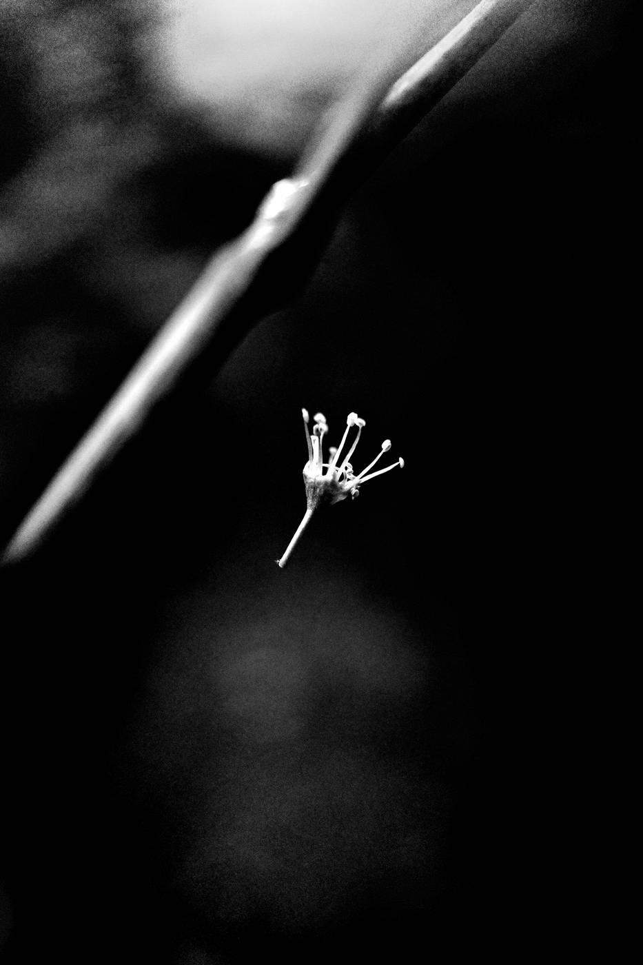 Frame 015