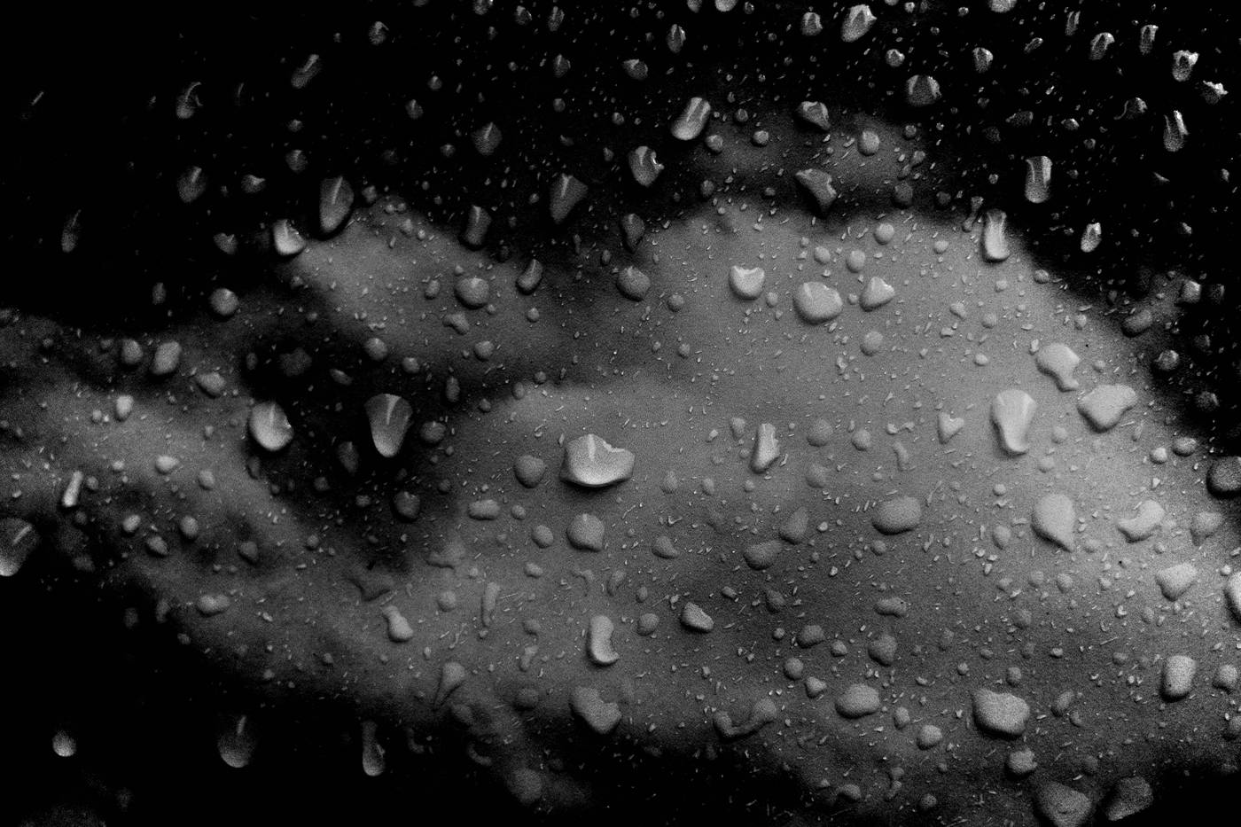Frame 007