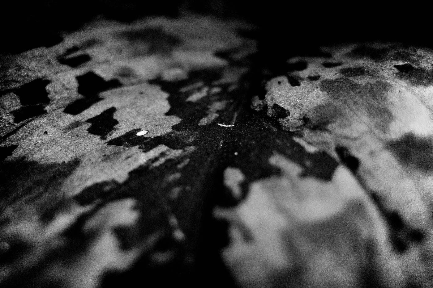 Frame 014