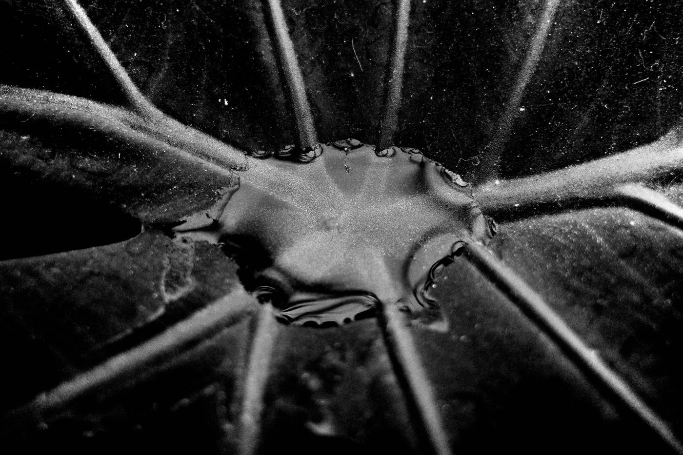 Frame 020