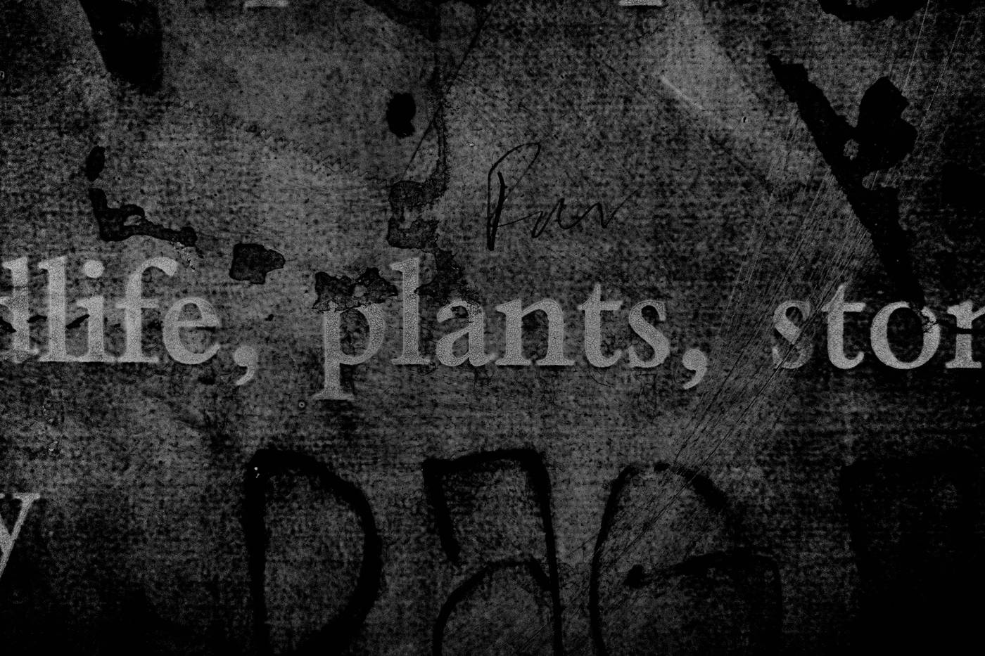 Frame 029