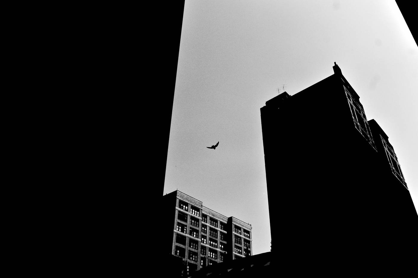 Frame 006