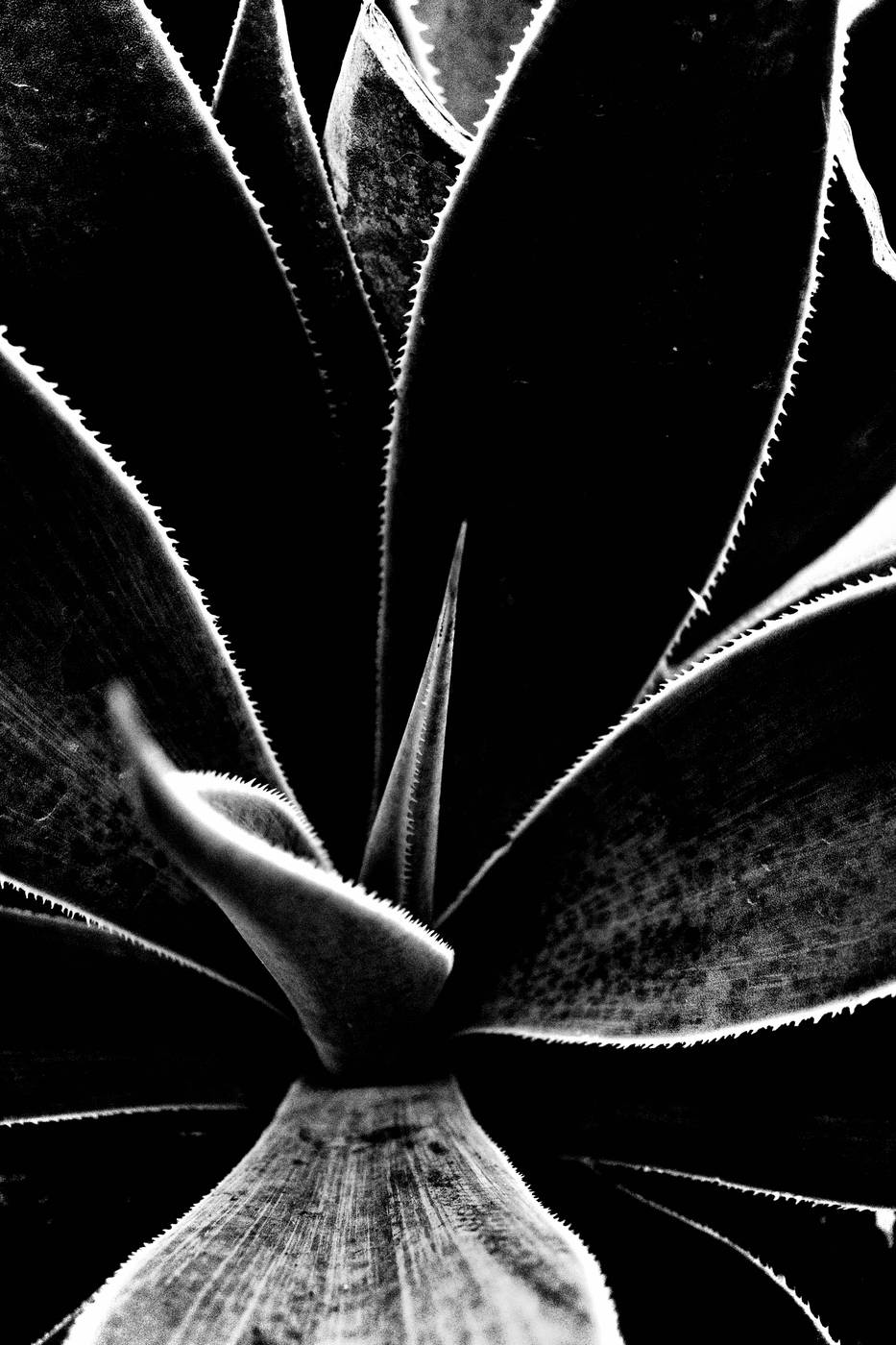 Frame 001