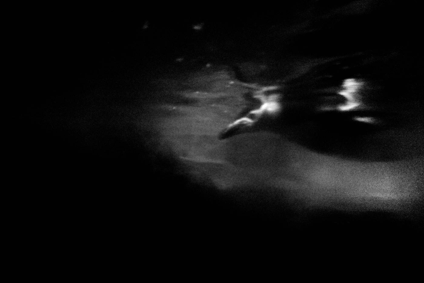 Frame 040