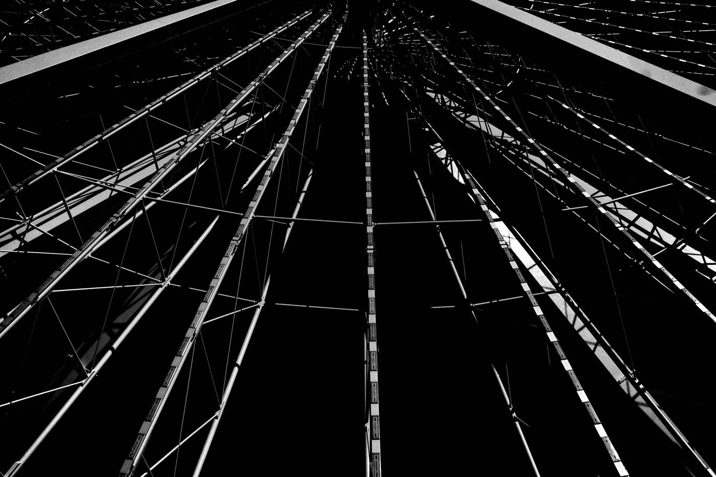Frame 003