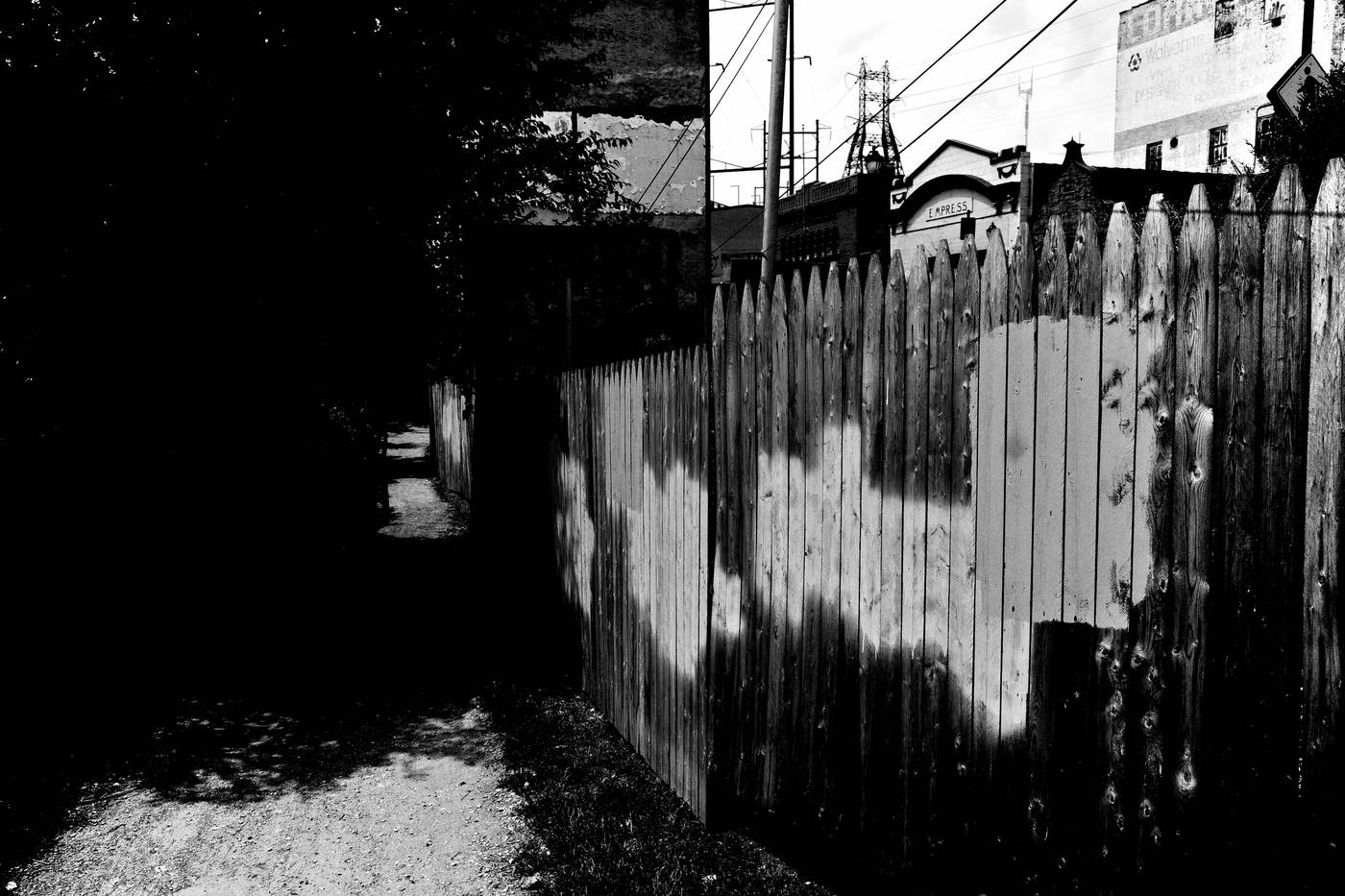 Frame 005