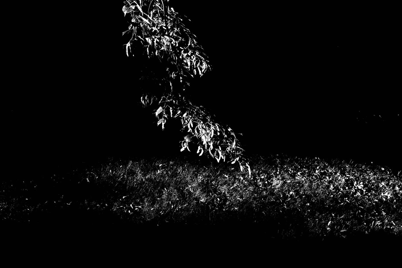 Frame 023