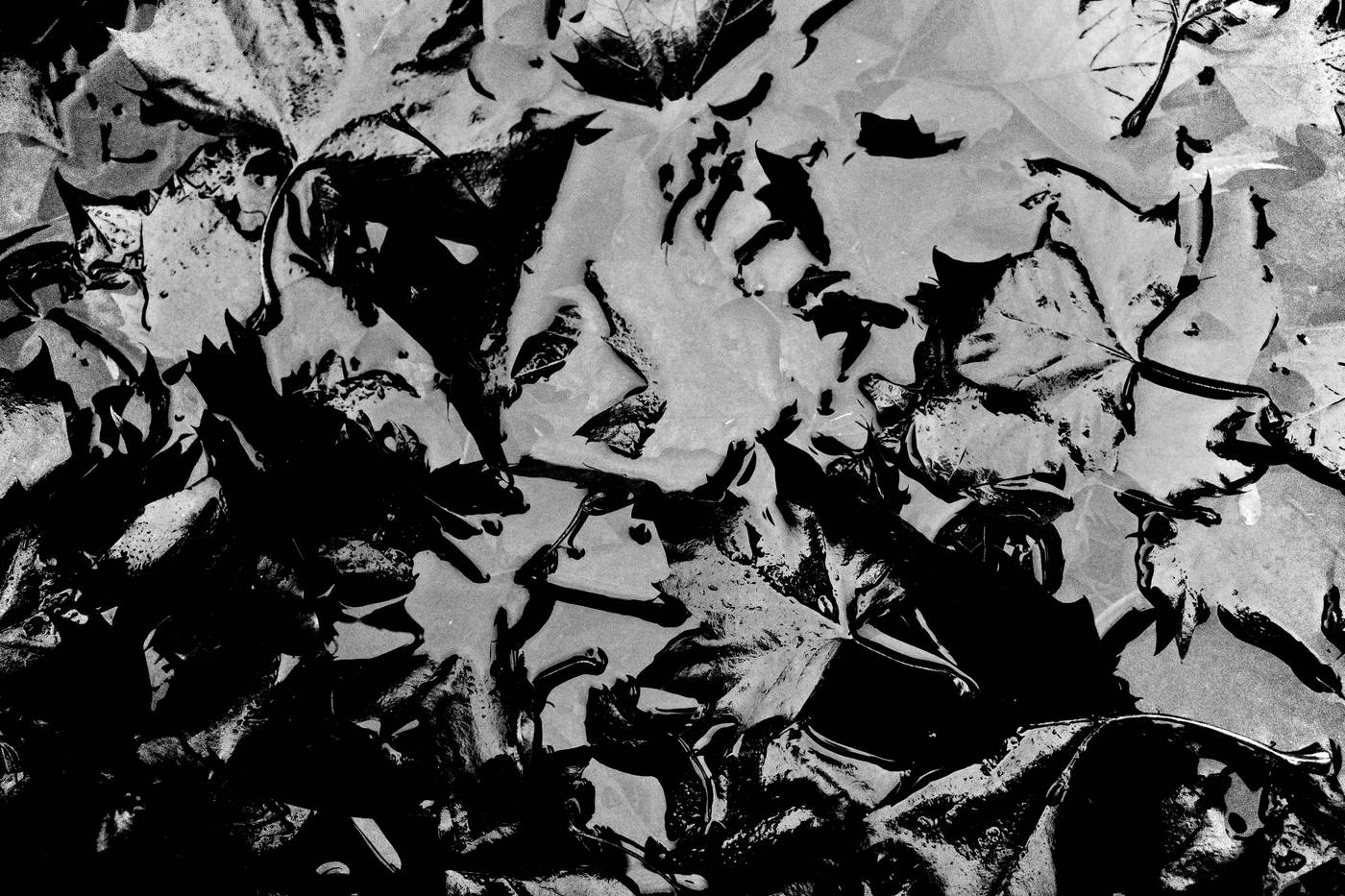 Frame 002