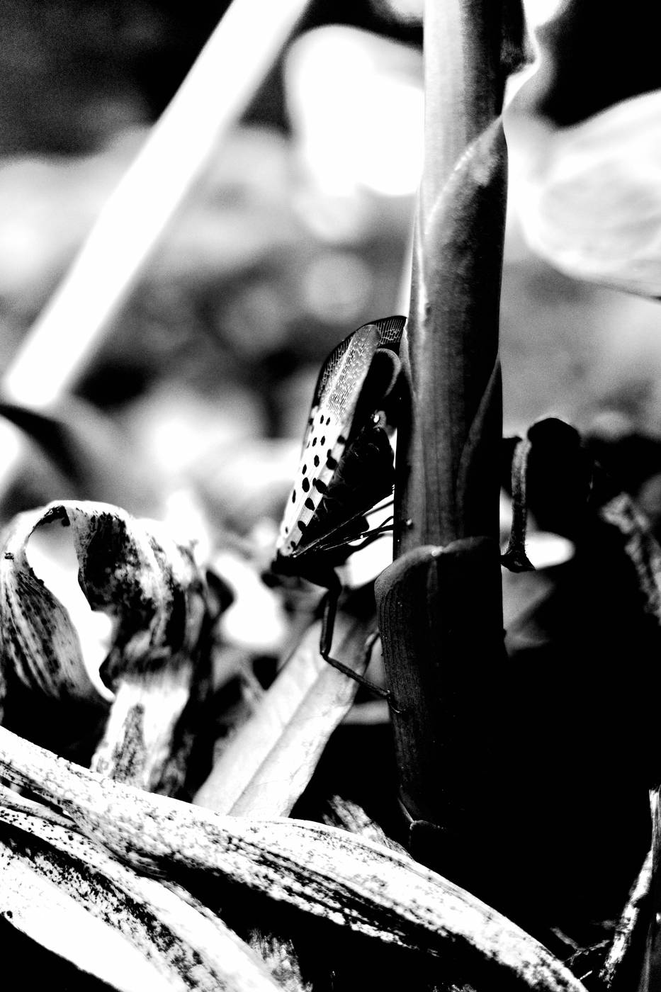 Frame 023