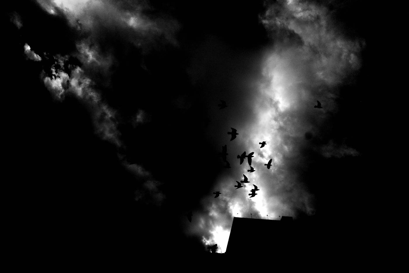 Frame 004