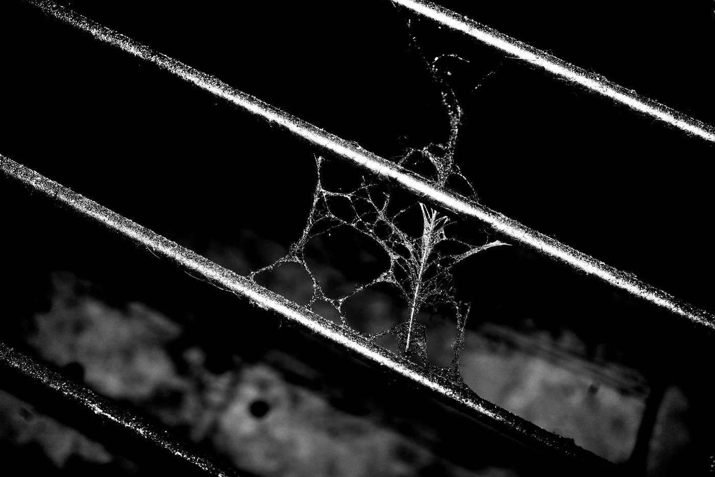 Frame 019