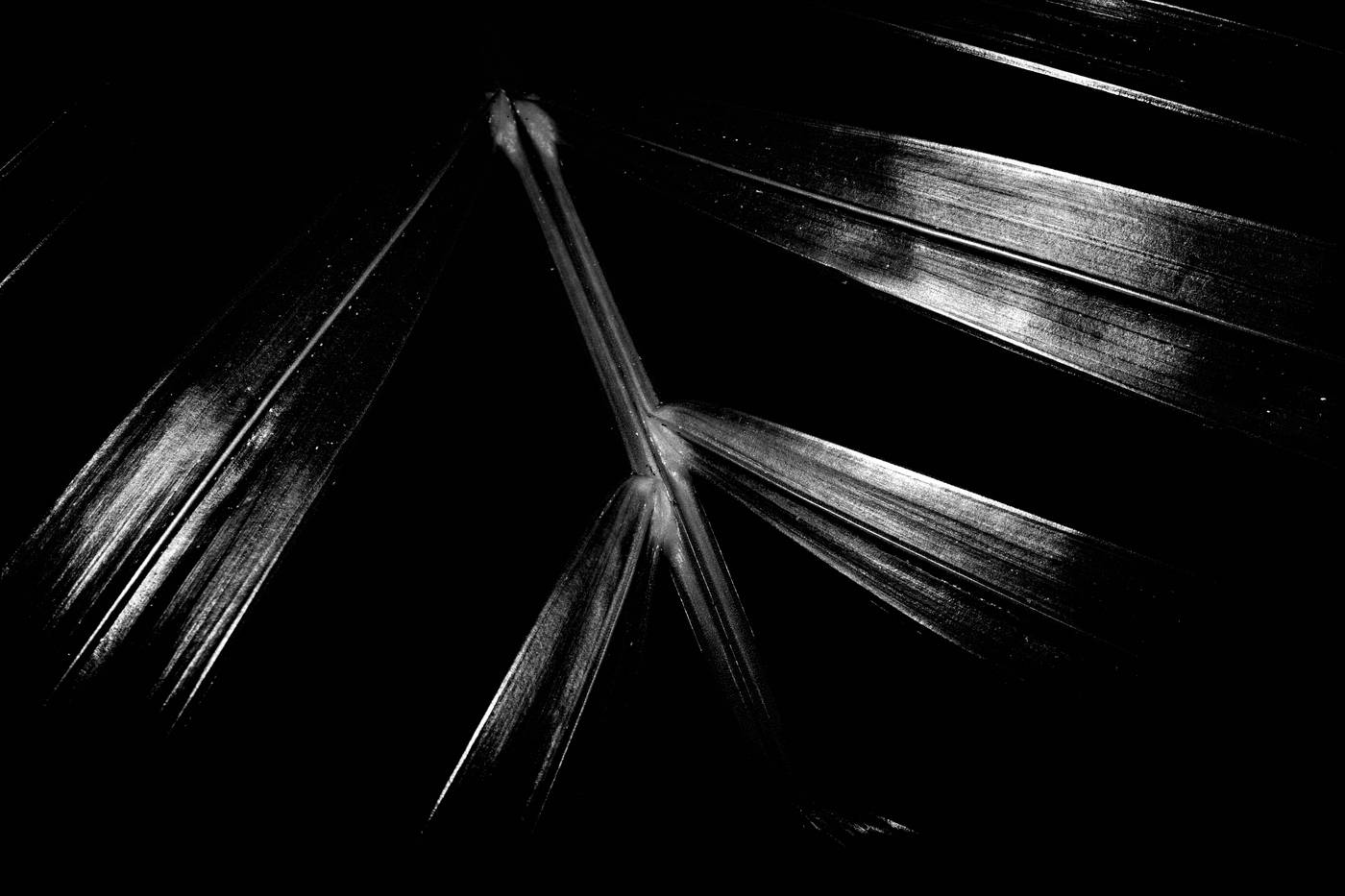 Frame 021