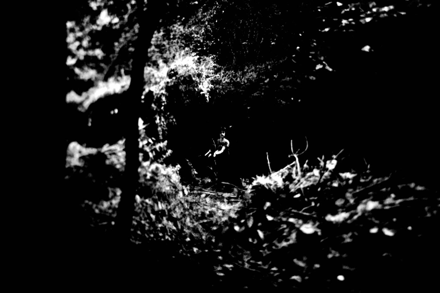 Frame 037