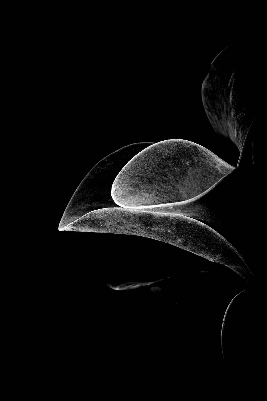 Frame 013