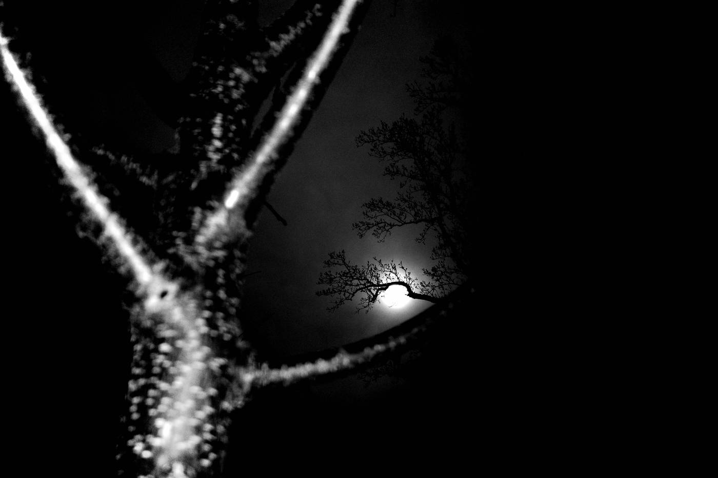 Frame 001