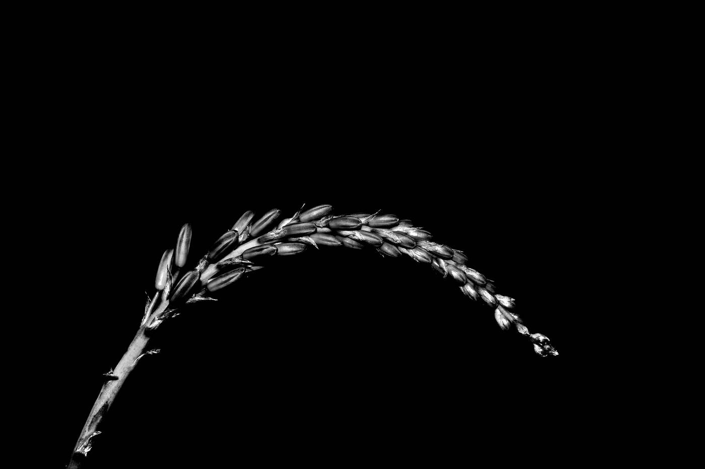 Frame 002