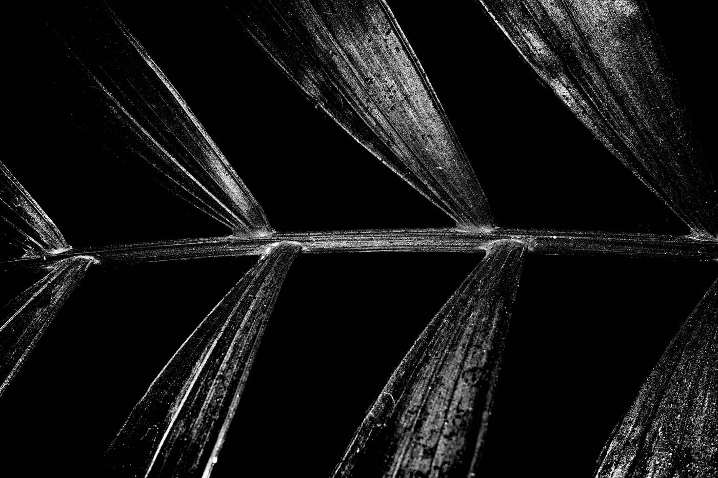 Frame 017